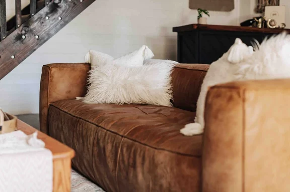 TOP RATED Boho Mountain Retreat: Pet-Friendly!